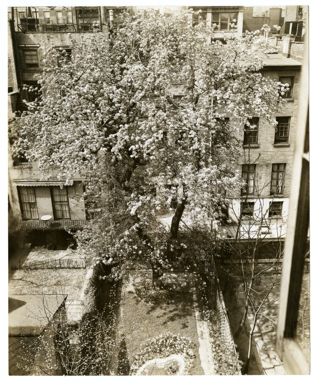 Mevrouw W H Wells 265 W 11th door Jessie Tarbox Beals