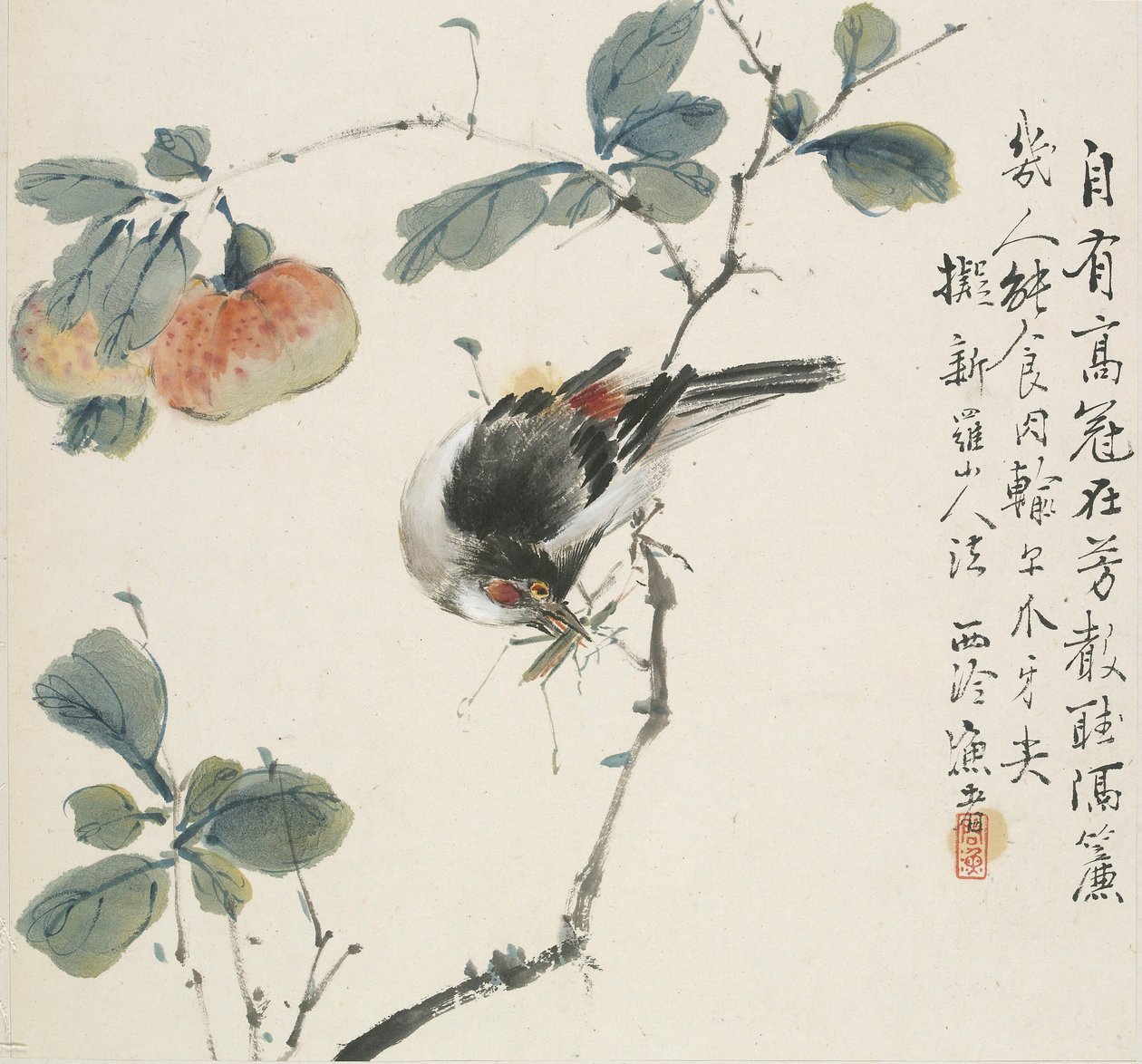 Een Chinese Hwamei die een sprinkhaan eet door Jin Yuan