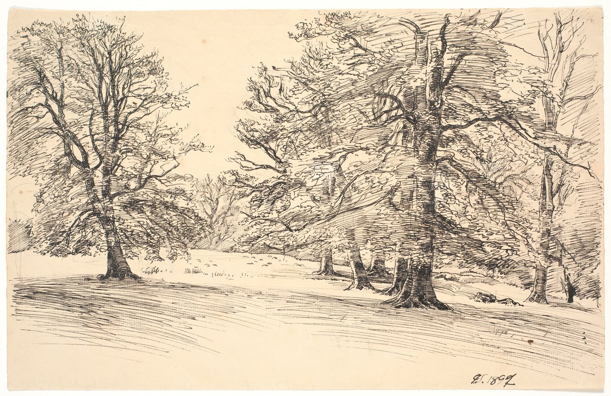 Licht hellend terrein met verspreide grote bomen door Joakim Frederik Skovgaard