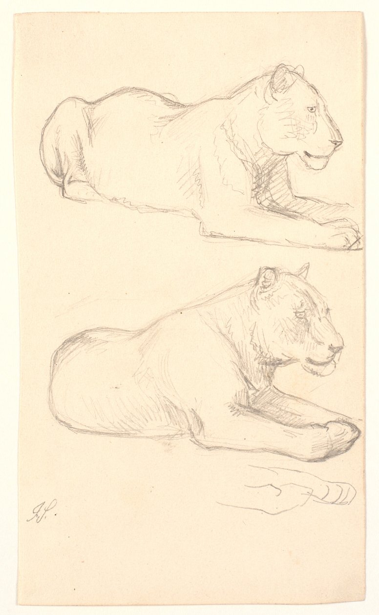 Twee studies van liggende leeuwin door Joakim Frederik Skovgaard