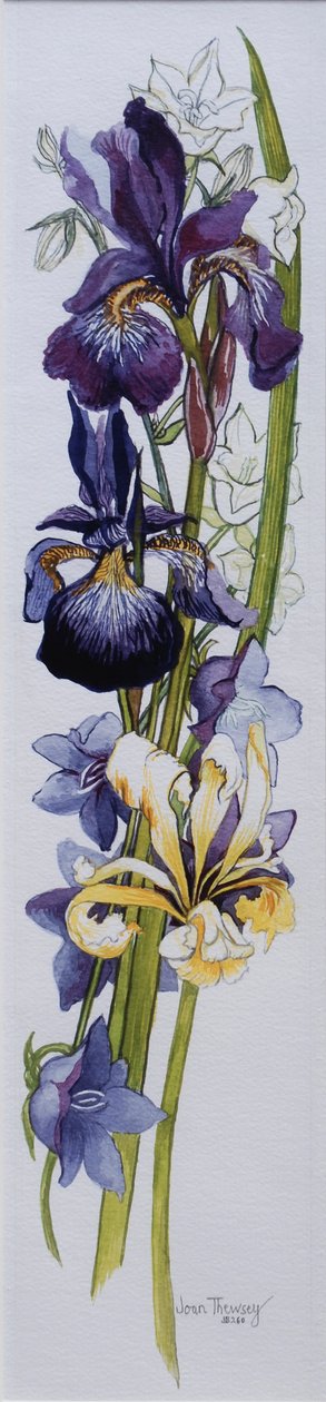 Paarse en gele irissen met witte en mauve campanula