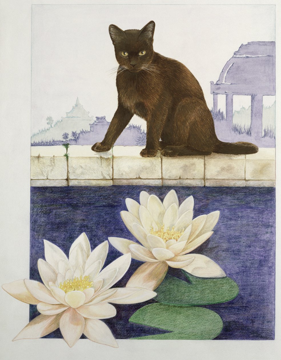 Birmaanse door Joan Freestone