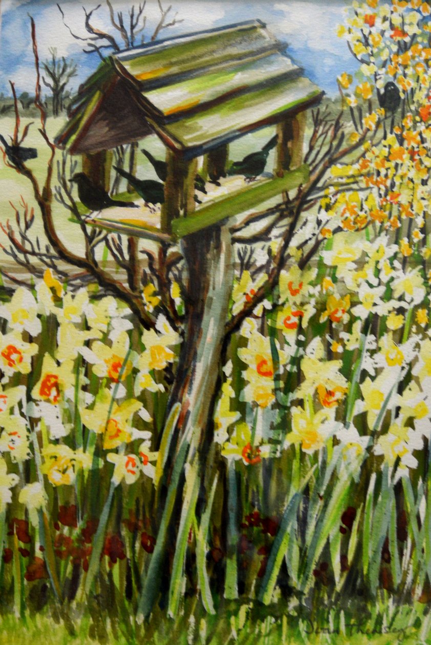 Narcissen en Vogels in het Vogelhuis door Joan Thewsey