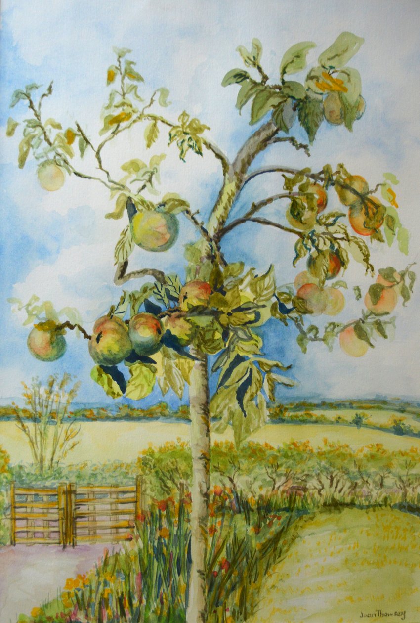 De appelboom door Joan Thewsey
