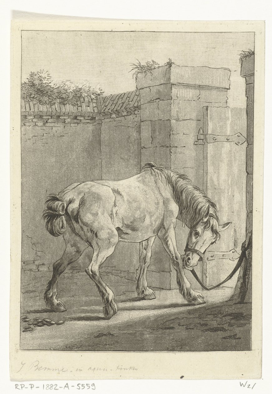 Een paard aan een paal vastgebonden door Joannes Bemme