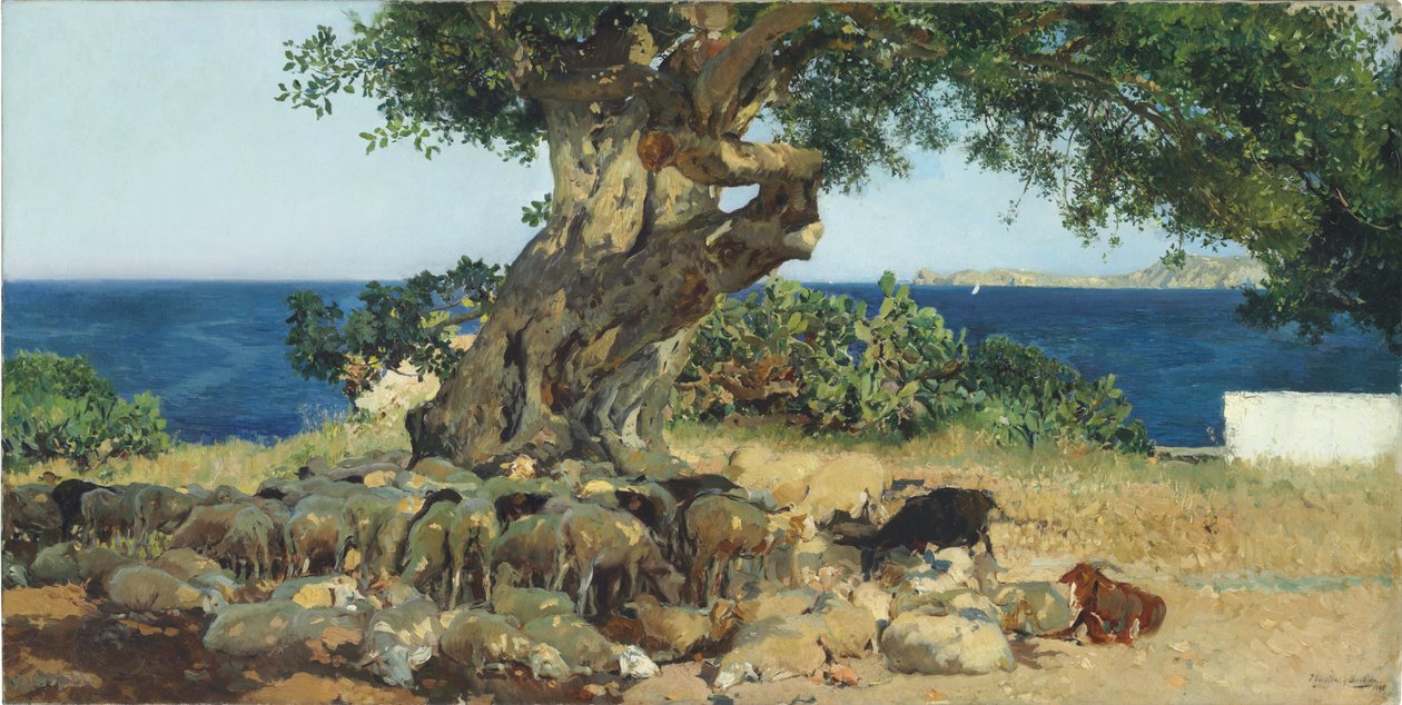 Johannesbroodboom door Joaquín Sorolla