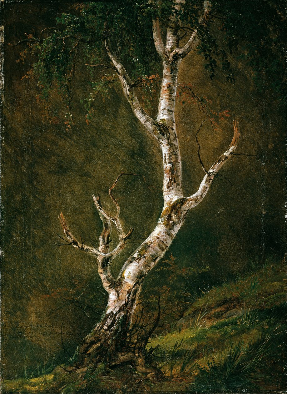 Studie van een berk door Johan Christian Dahl