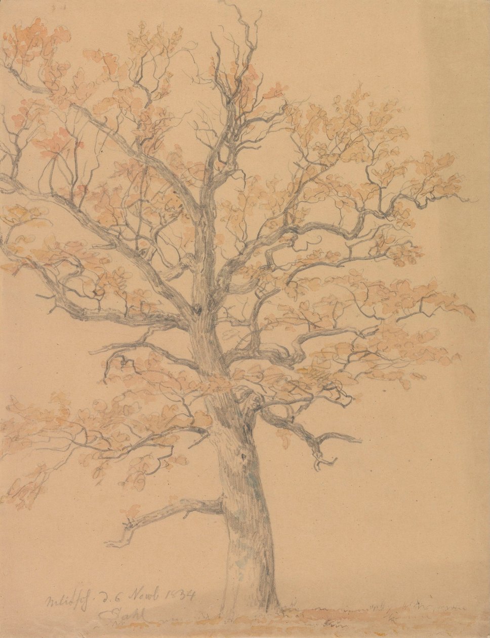 Eik met herfstbladeren, Milicz door Johan Christian Dahl