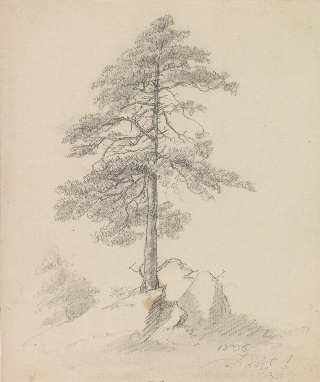 Dennen en kliffen door Johan Christian Dahl