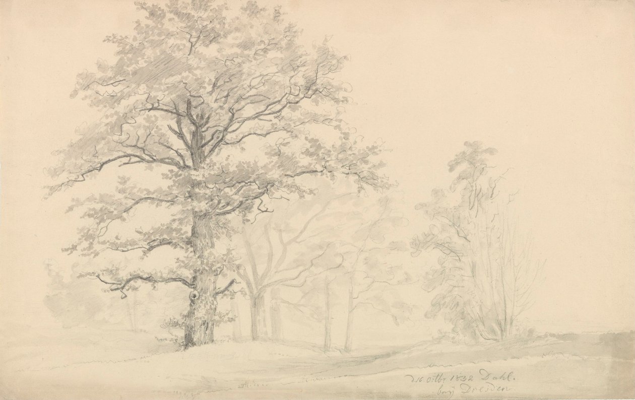 Loofbomen door Johan Christian Dahl