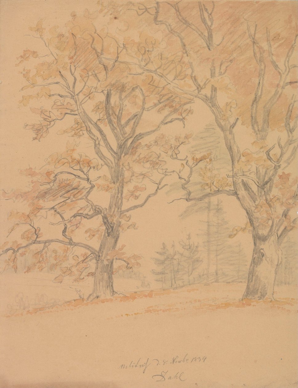 Twee eikenbomen met herfstbladeren door Johan Christian Dahl