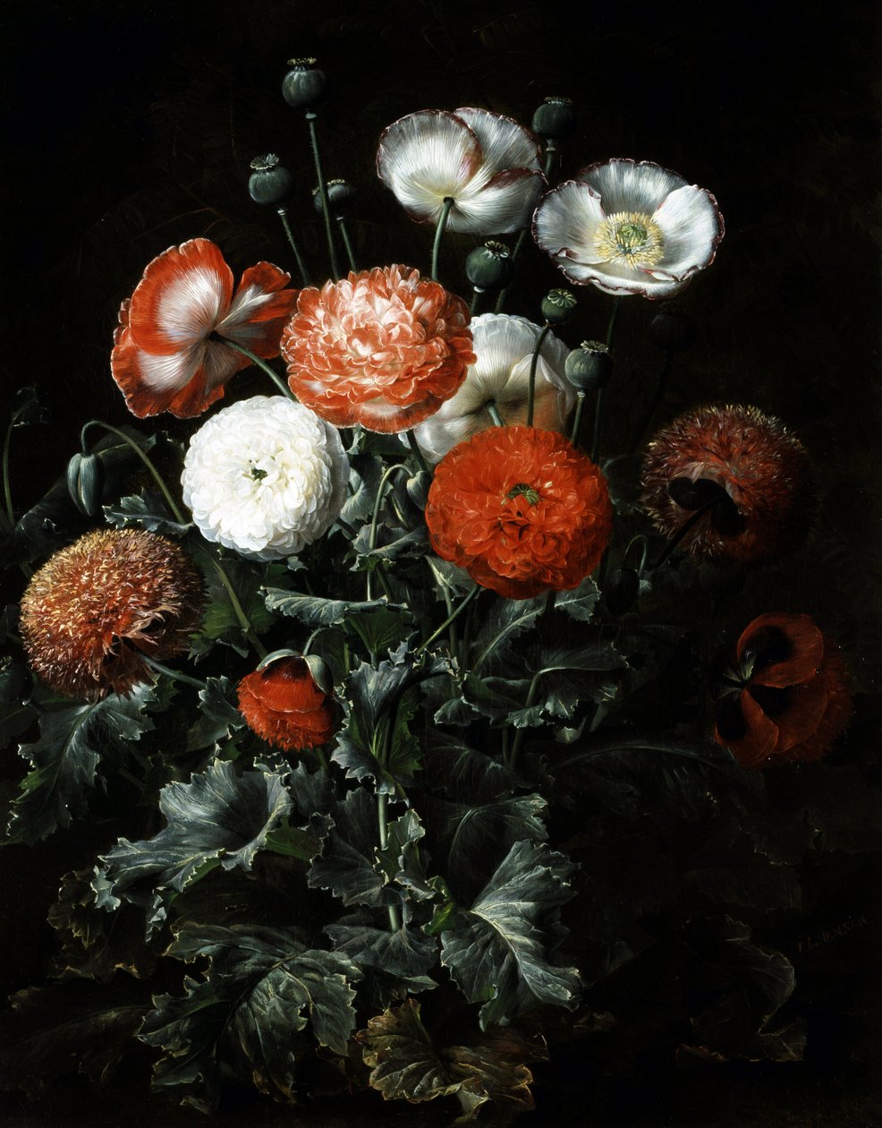 Exotische klaprozen. Schilderij van Johan Laurentz Jensen (1800-1856) Privécollectie. door Johan Laurents Jensen