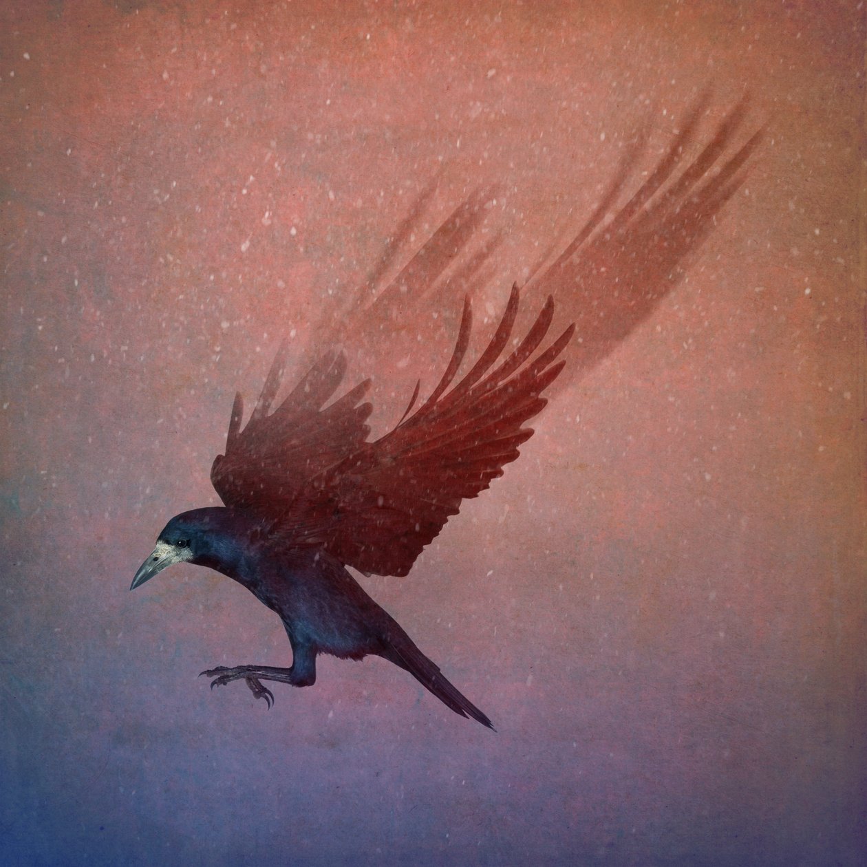 Vogelrijk, 2018 door Johan Lilja