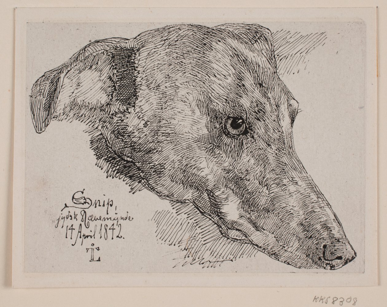 Deens: Hundehoved, Snip door Johan Lundbye