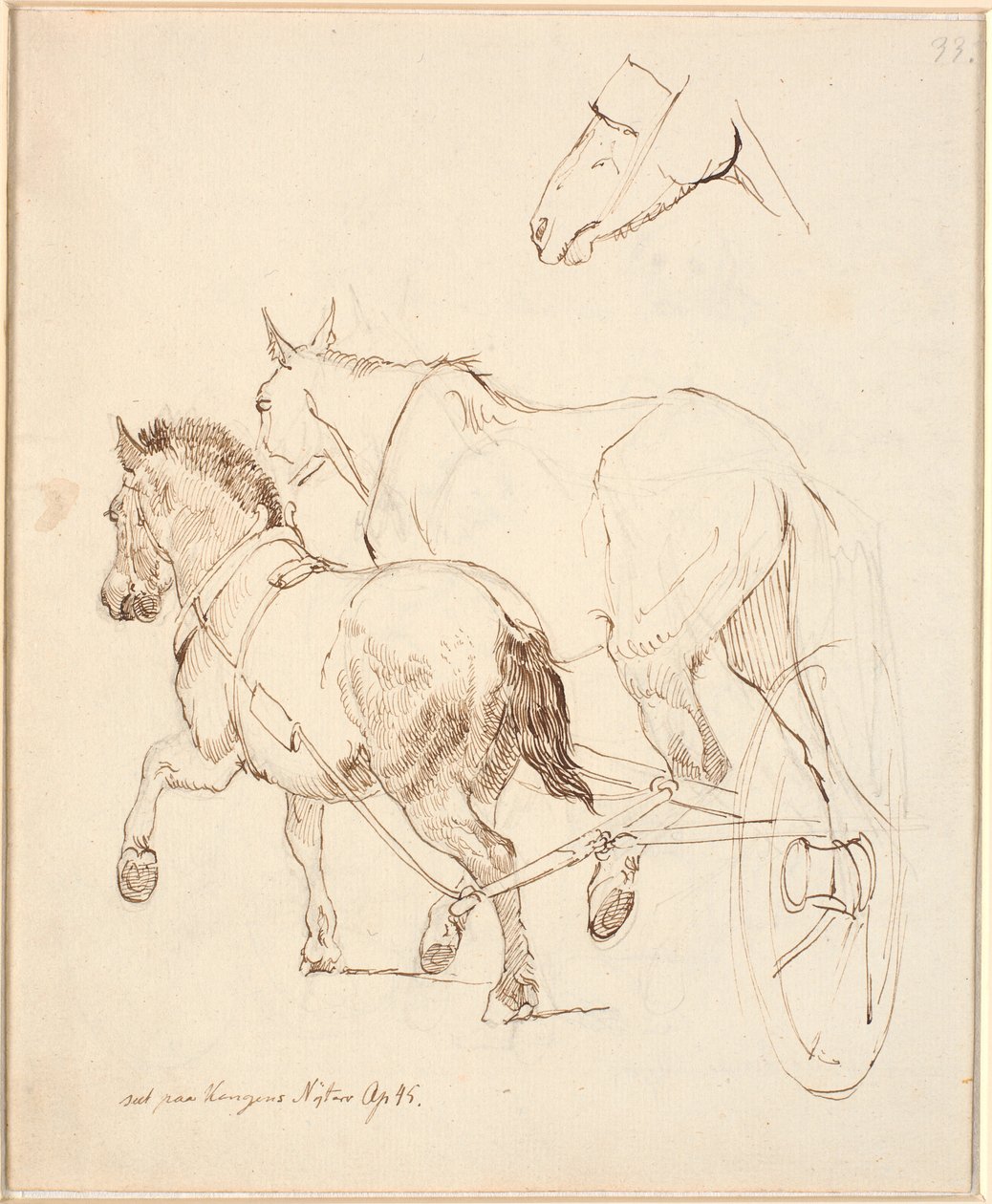 Een Noordse ram en een gewoon paard voor dezelfde wagen. F.o. Paardenhoofd door Johan Thomas Lundbye