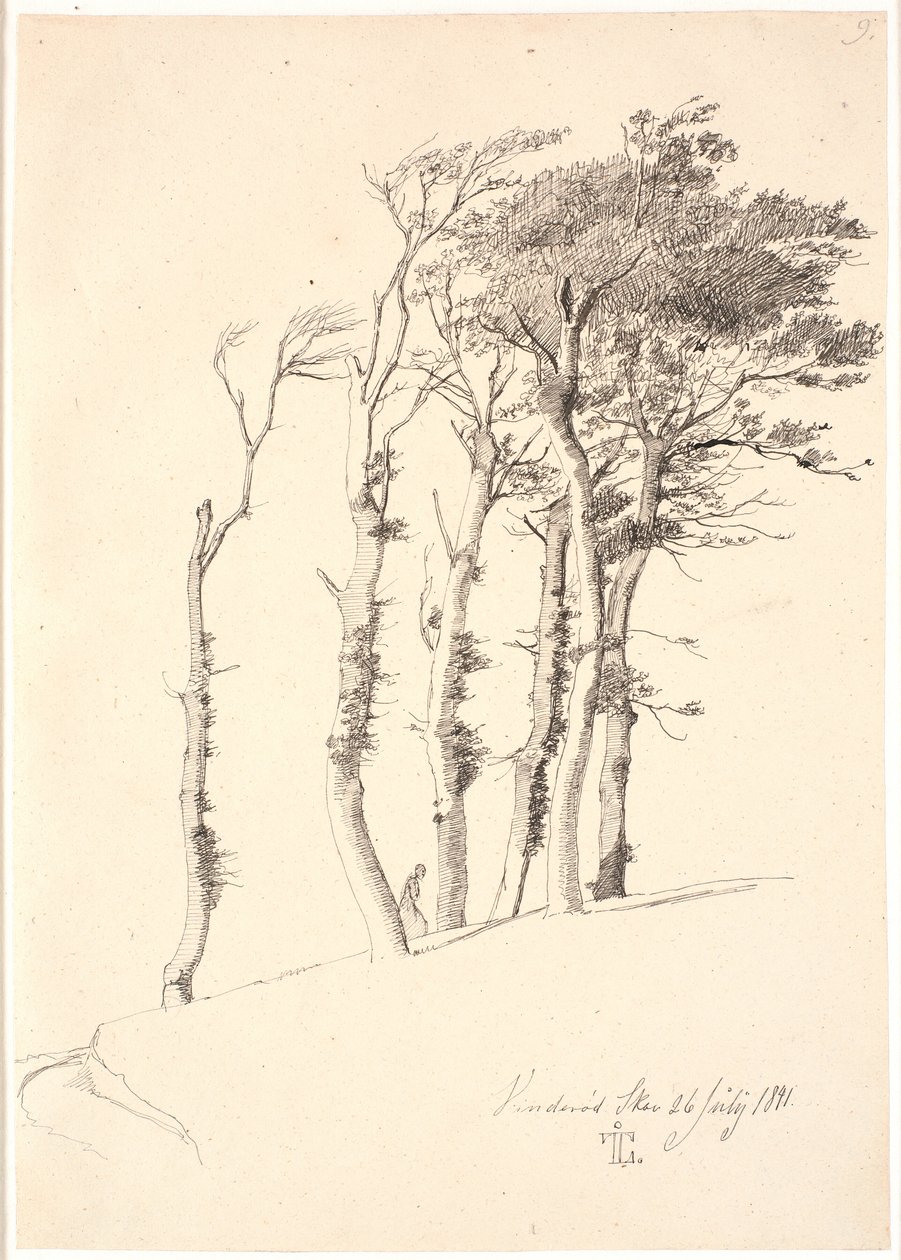 Groep van door de wind geteisterde bomen door Johan Thomas Lundbye