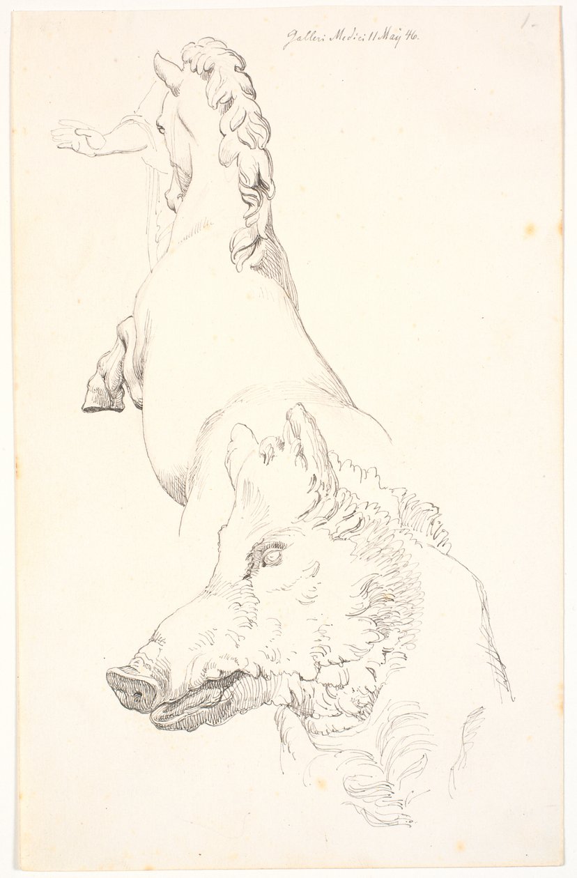 Studie naar antieke sculpturen: Everzwijnkop, bovenlichaam van een steigerend paard van achteren gezien en een arm met draperie door Johan Thomas Lundbye