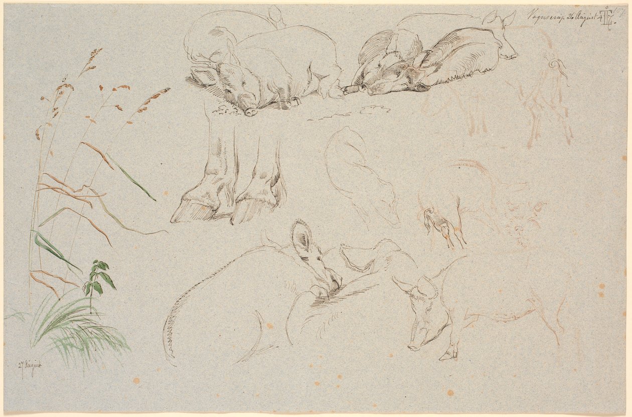 Studieblad van Vognserup. Verschillende studies van varkens. Een studie van een paar paardenhoeven. Een studie van een hondenkop en een studie van gras door Johan Thomas Lundbye