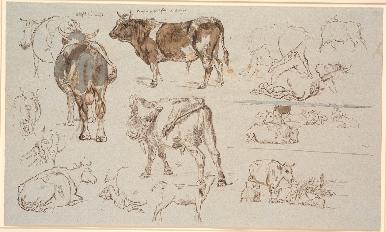 Studieblad van Vognserup. Studies van koeien, stieren en kalveren. Rechts twee landschapsstudies, de bovenste met liggende koeien, de onderste met melkscène door Johan Thomas Lundbye