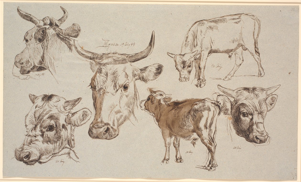 Studieblad van Vognserup. Studies van koeienkoppen, stierkalveren en hun koppen door Johan Thomas Lundbye