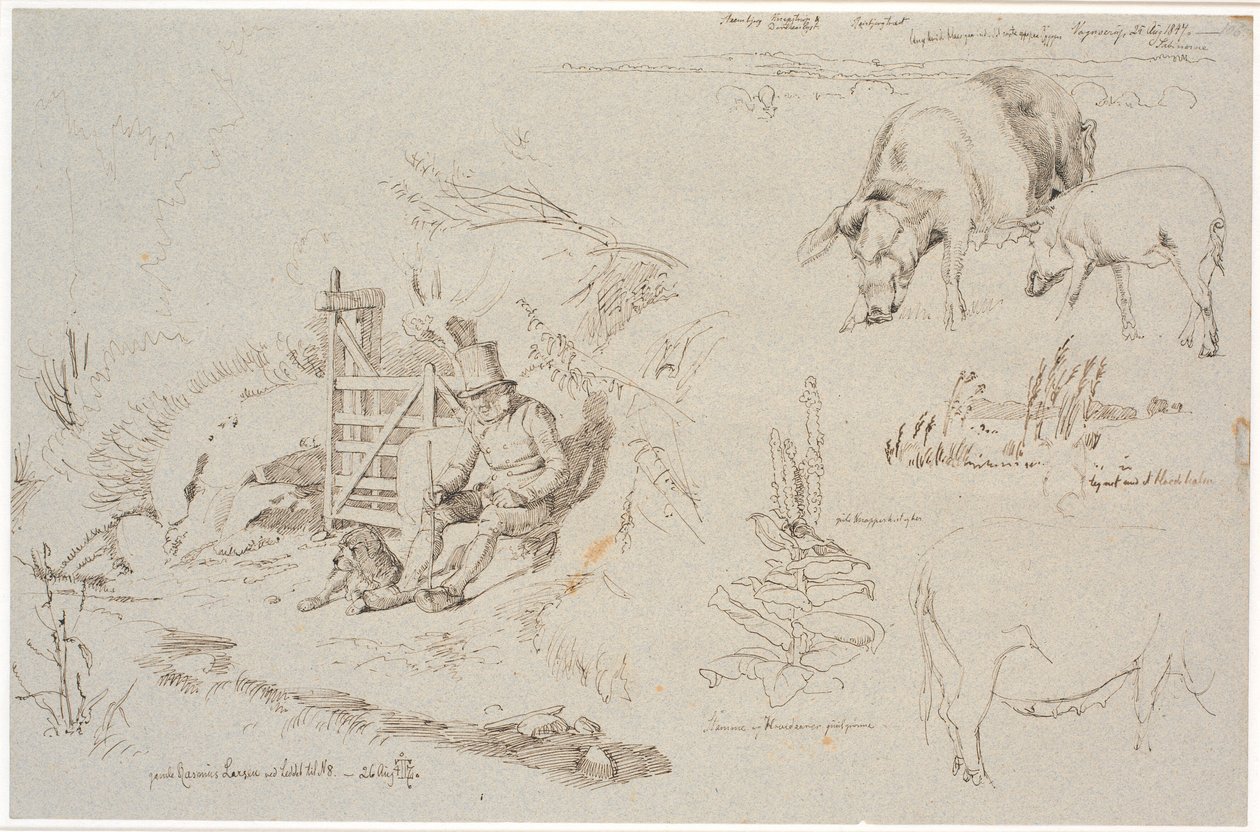 Studieblad van Vognserup. Links een herder (oude Rasmus Larsen) zittend met een hond bij een hek. Rechts een landschapsstudie met plaatsnamen. Hieronder twee varkens. Rechts een studie van riet in een meer. Hieronder een koningskaarsplant en een studie van door Johan Thomas Lundbye