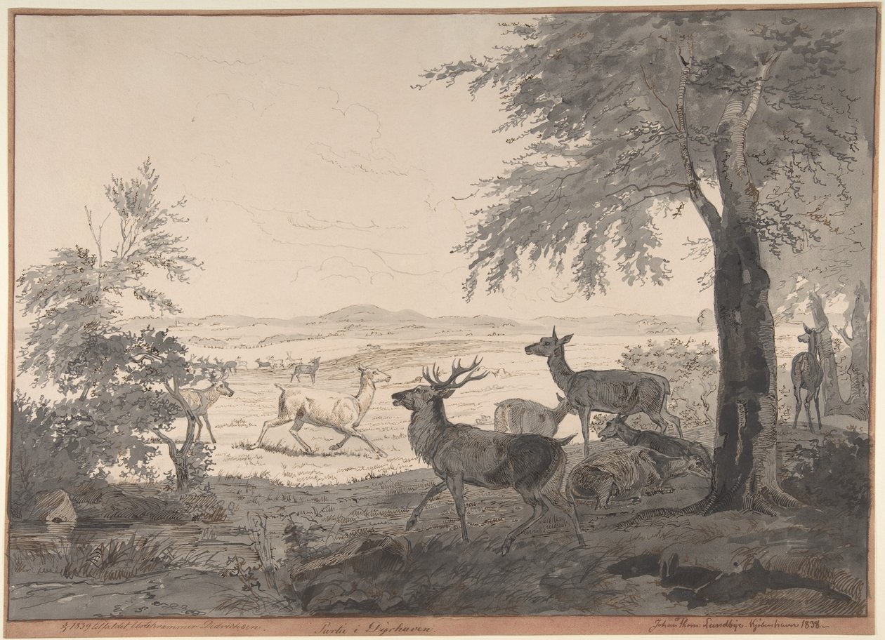 Uitzicht op Dyrehaven door Johan Thomas Lundbye
