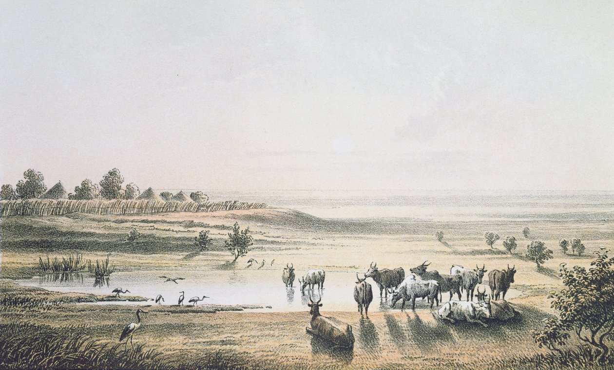 De Grenzen van Tsjaad in 1851, uit 