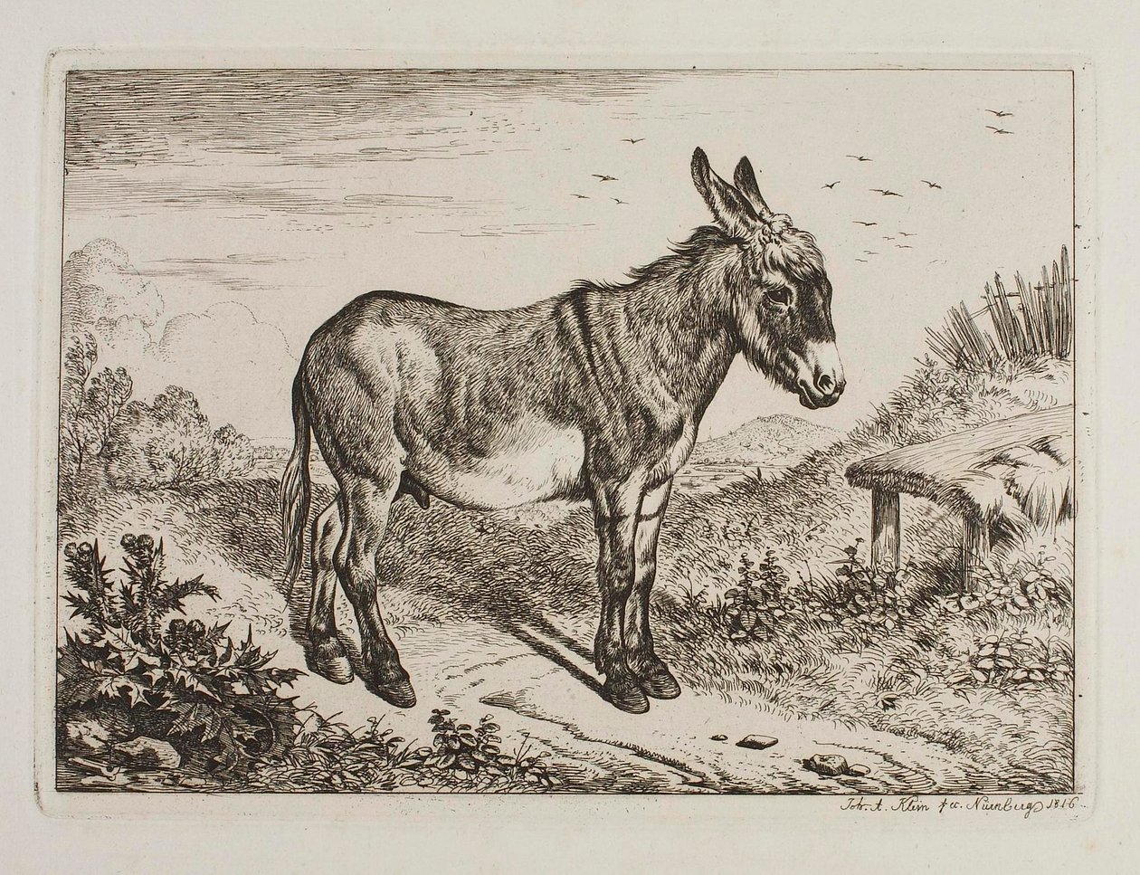 Ezel door Johann Adam Klein