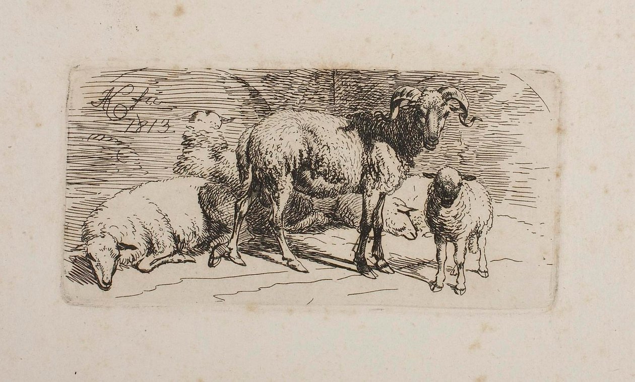 Een ram, drie schapen en een lam door Johann Adam Klein