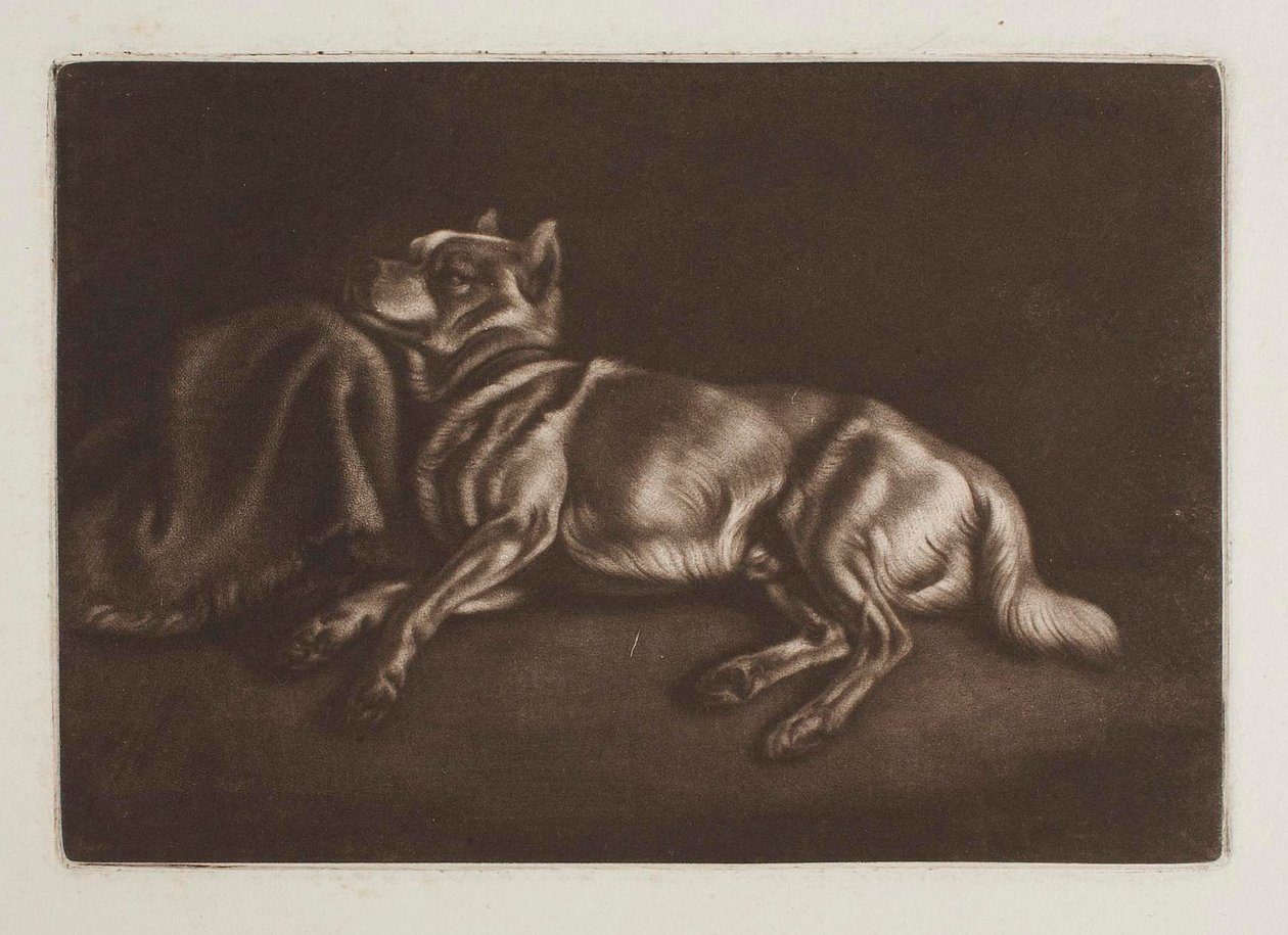 Hond van het spitztype door Johann Adam Klein