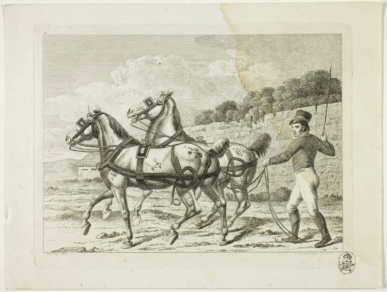 Manege en paarden door Johann Adolph Darnstedt