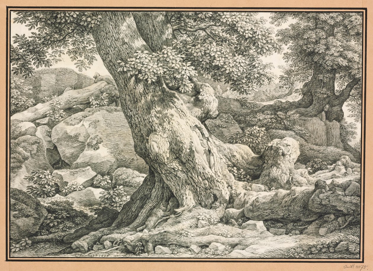 Boomonderzoek op rotsachtig terrein door Johann Christian Reinhart