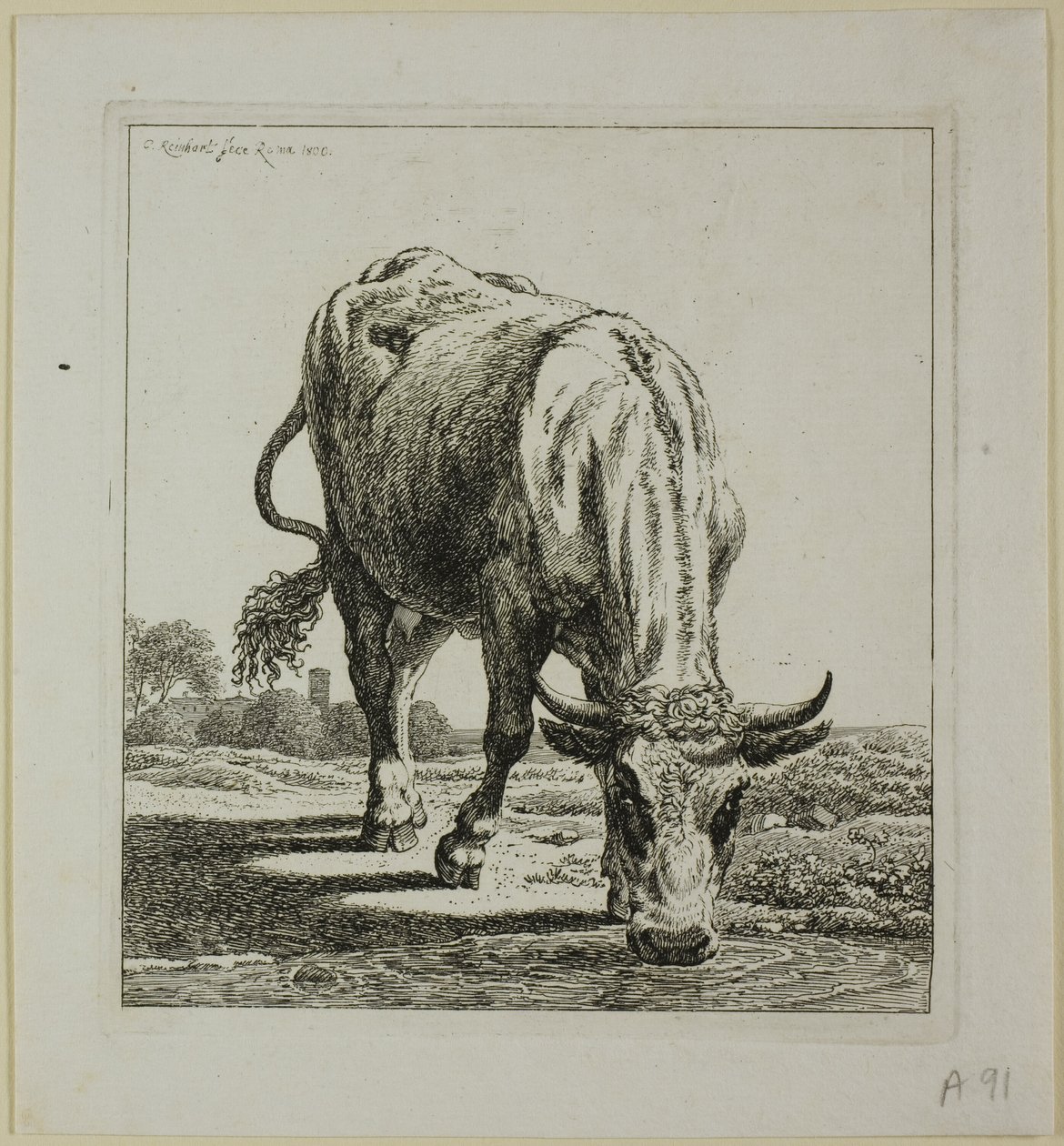 Koe drinkend, uit Die Zweite Thierfolge door Johann Christian Reinhart