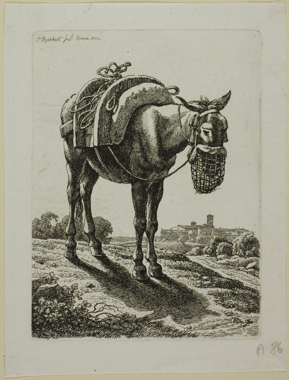 Voedende muilezel - Voorkant, uit Die Zweite Thierfolge door Johann Christian Reinhart