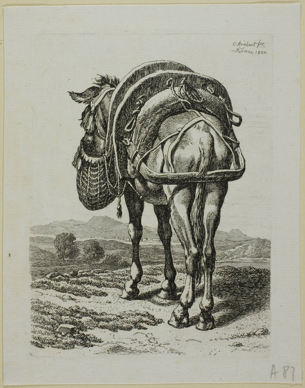 Voedende muilezel - Achter, uit Die Zweite Thierfolge door Johann Christian Reinhart