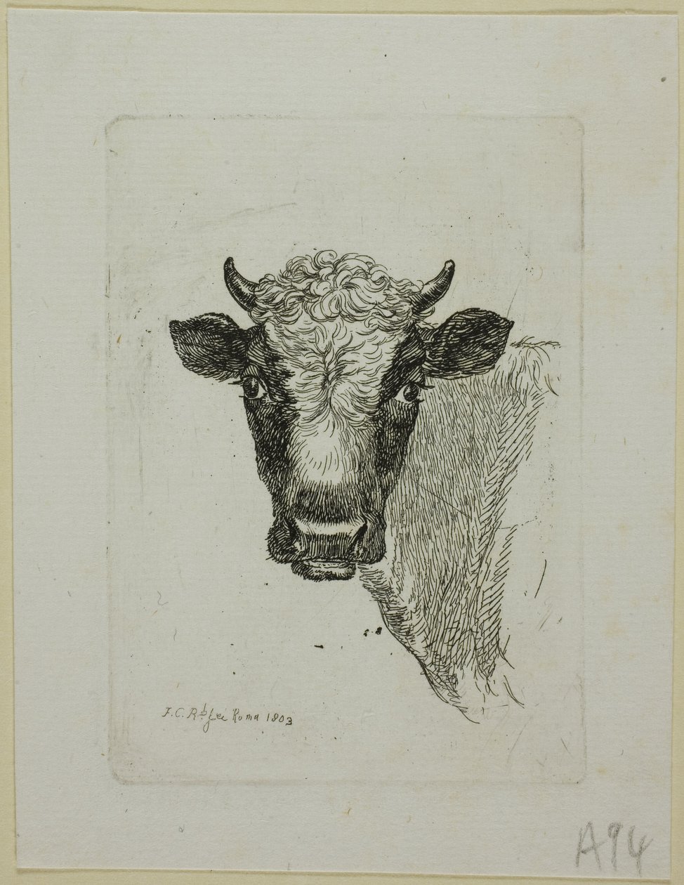 Hoofd van een jonge stier, uit Die Zweite Thierfolge door Johann Christian Reinhart