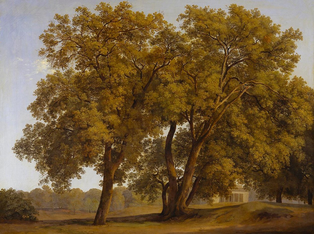 Bomen in de tuinen van de Villa Borghese door Johann Christian Reinhart