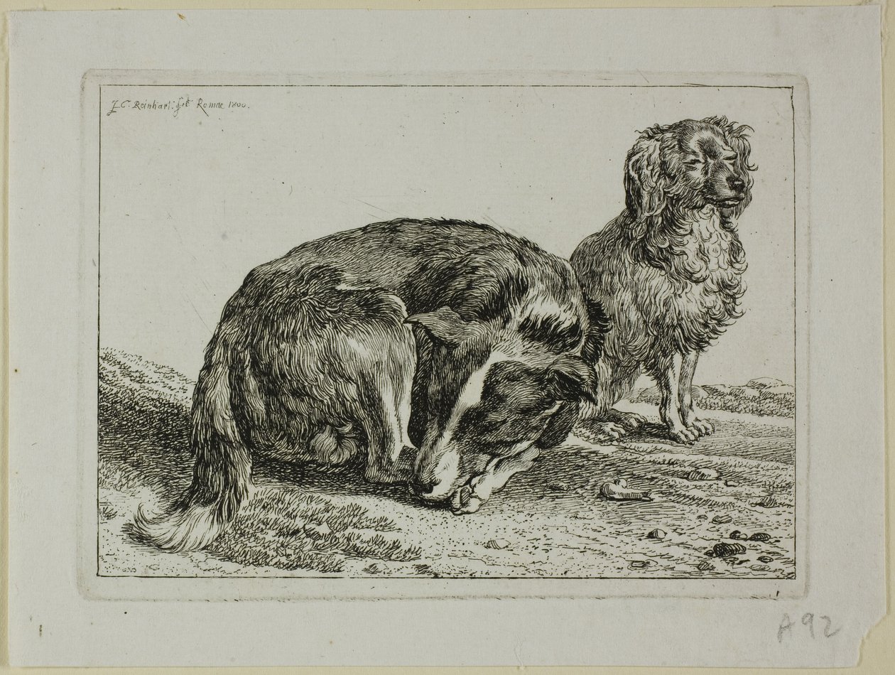 Twee rustende honden, uit Die Zweite Thierfolge door Johann Christian Reinhart