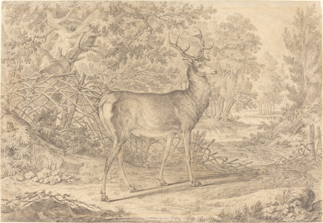 Een prachtige jonge hert voor een vlechtwerk hek door Johann Elias Ridinger