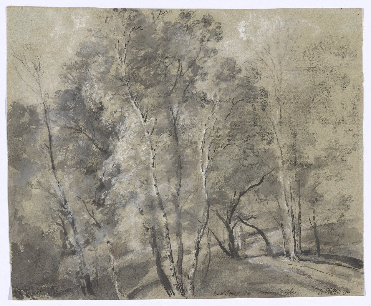 Loofbomen op een helling door Johann Georg von Dillis