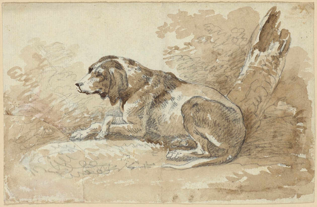 Twee onderzoeken bij honden door Johann Georg von Dillis