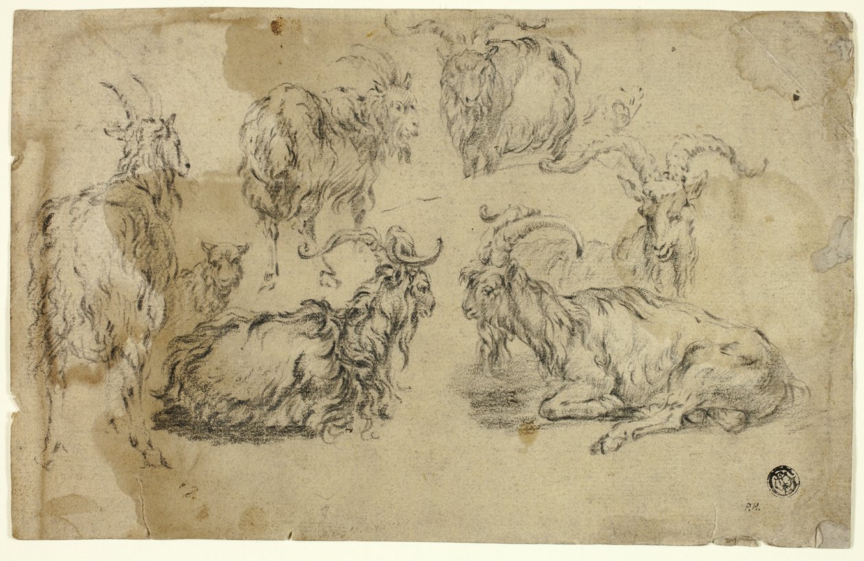Schetsen van Geiten door Johann Gottlieb Hackert