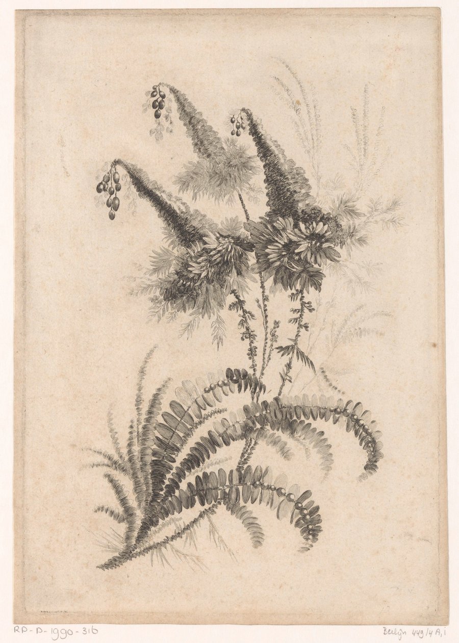 Puntige bloemen (Recueil De Nouvelles Fleurs De Goût; Pour la Manufacture des Etoffes de Perse) door Johann Heinrich  Hess