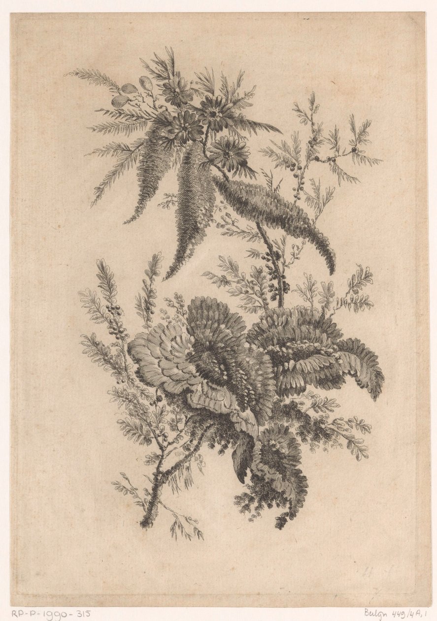 Wilde roosachtigen (Recueil De Nouvelles Fleurs De Goût; Pour la Manufacture des Etoffes de Perse) door Johann Heinrich  Hess