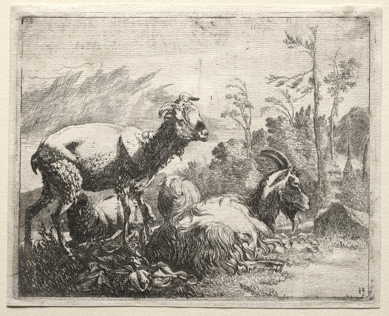 Geiten, 1665 door Johann Heinrich Roos