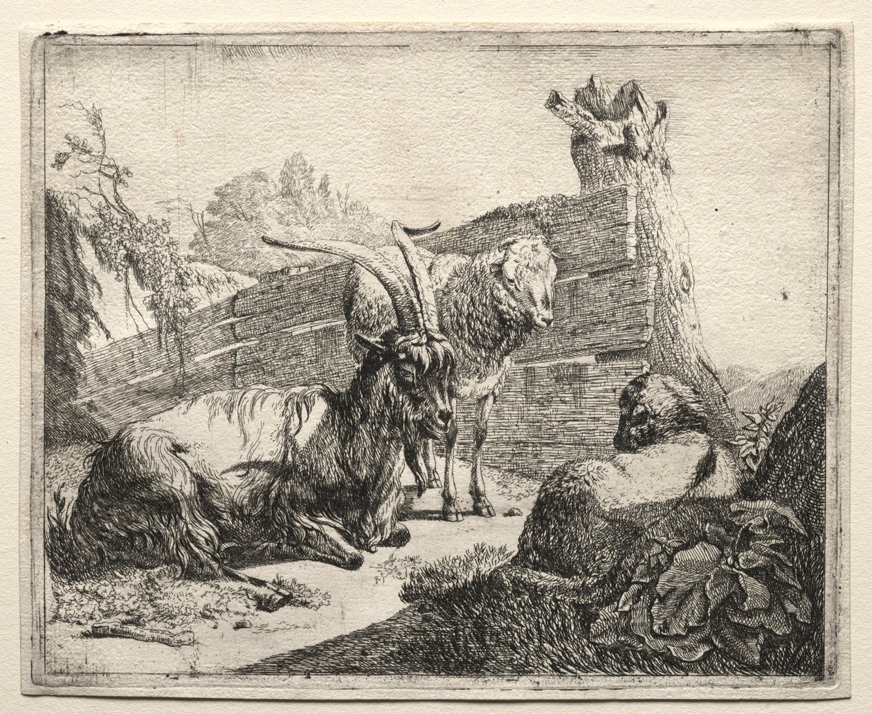 De Haag, 1665 door Johann Heinrich Roos