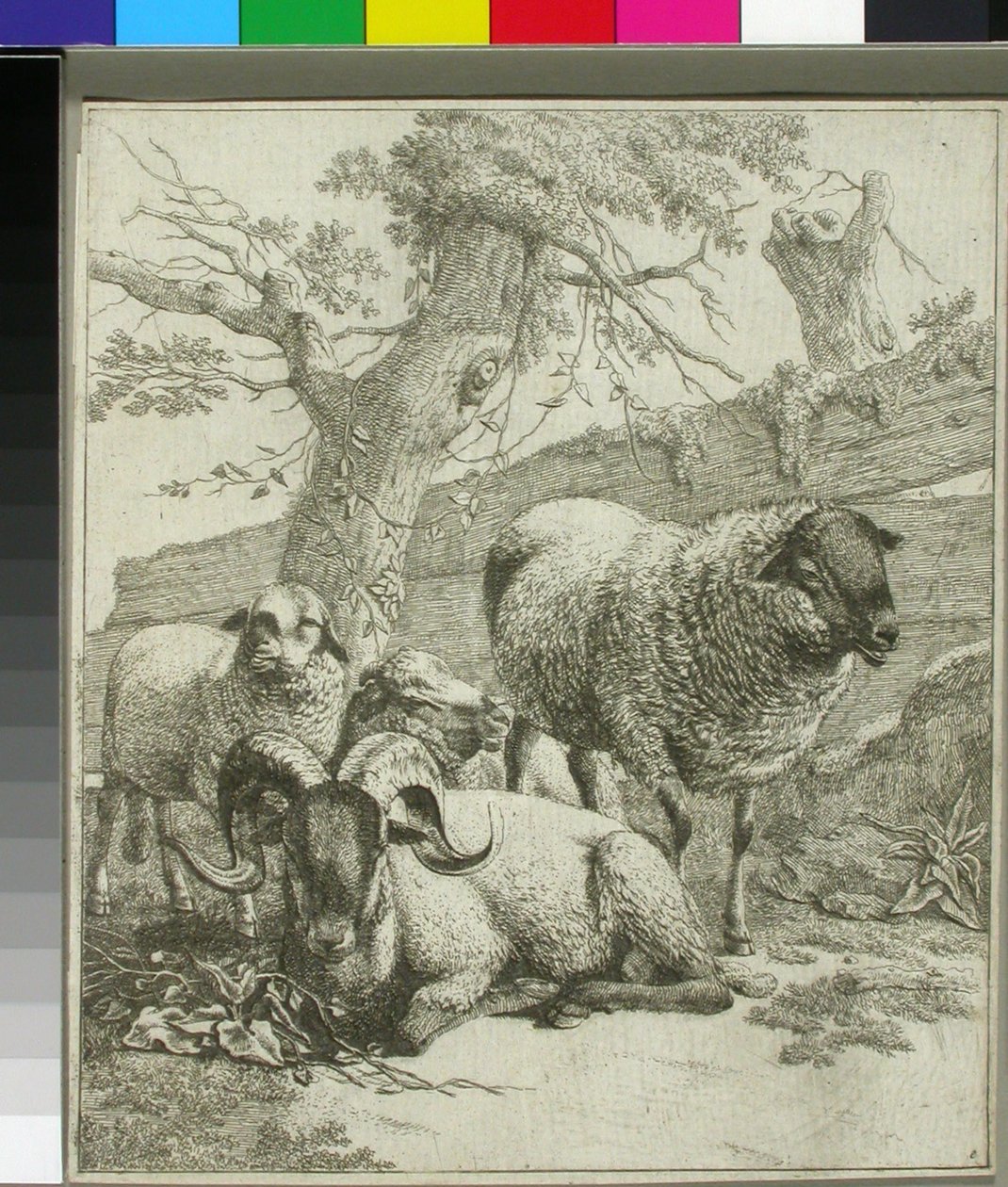 Ohne Titel door Johann Heinrich Roos