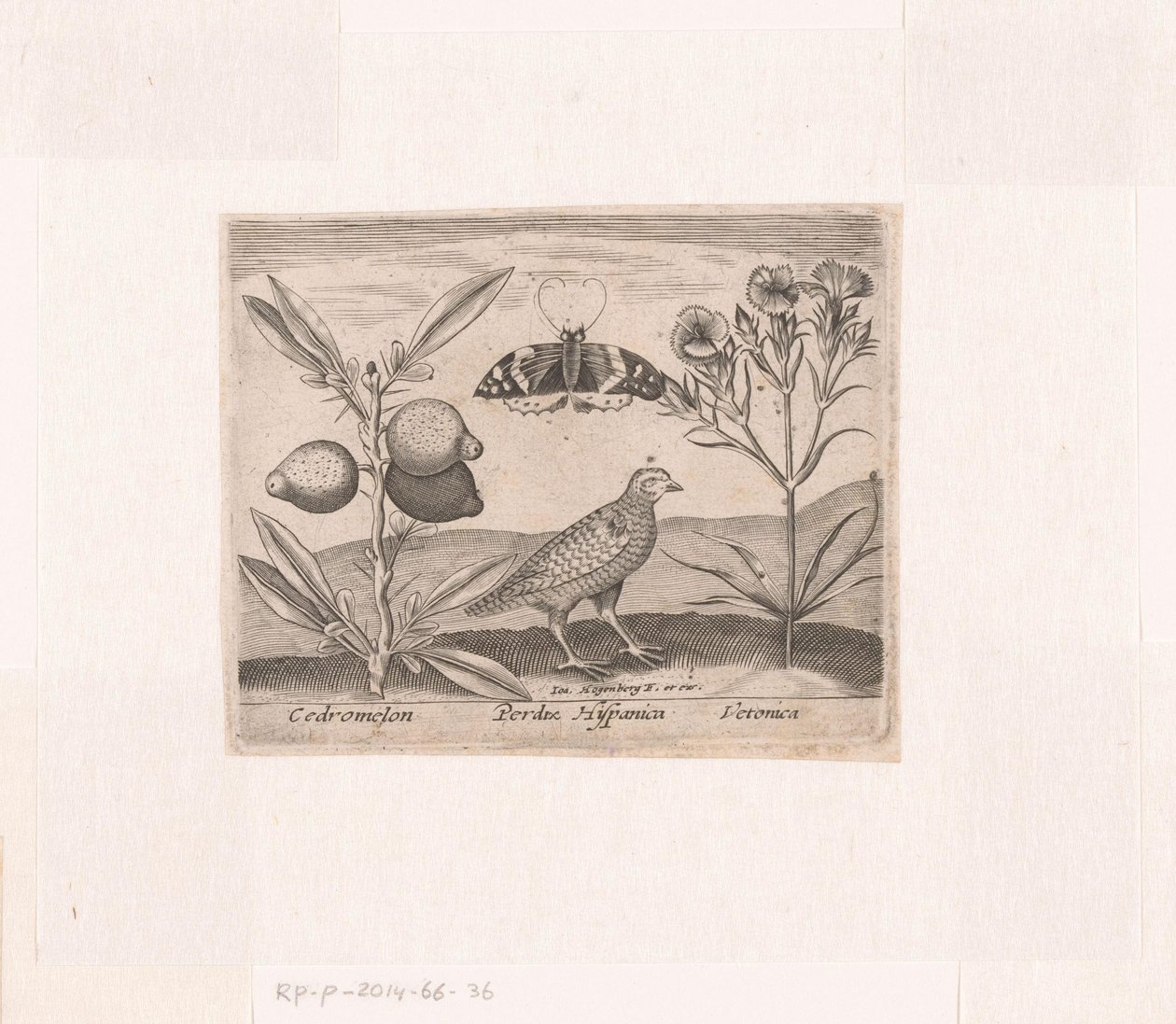 Serie prenten met bloemen en dieren in een landschap door Johann Hogenberg