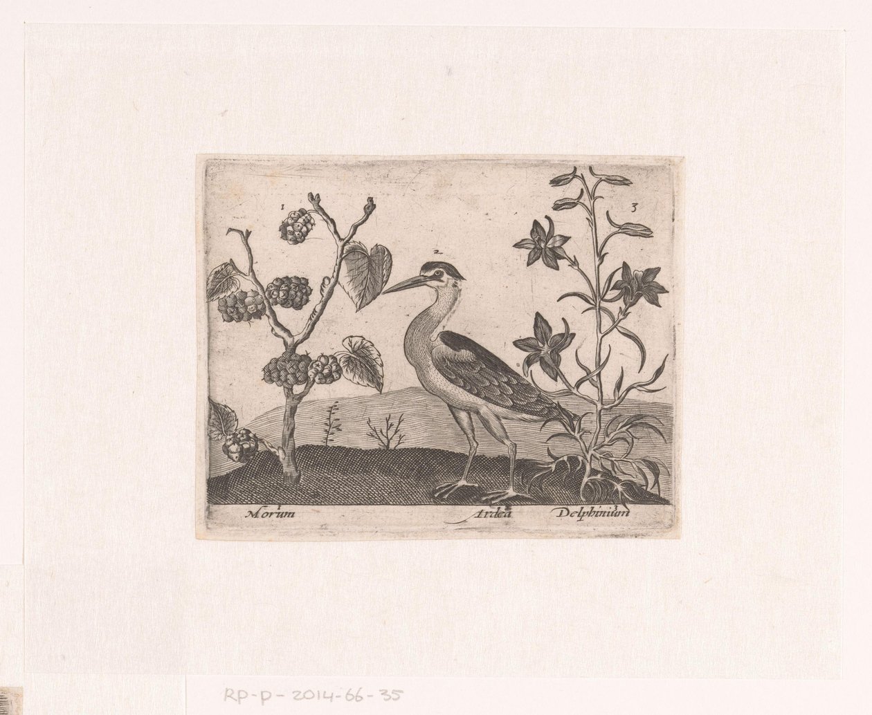 Landschap met reiger en ridderspoor door Johann Hogenberg
