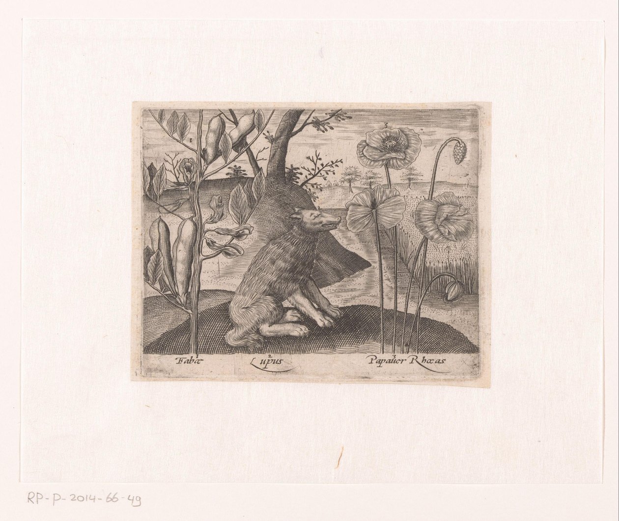Serie prenten met bloemen en dieren in een landschap door Johann Hogenberg